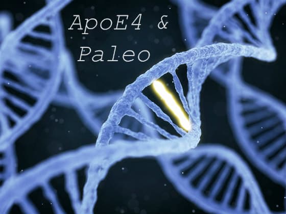 DNA illustration with gene mutation and words ApoE4 and Paleo
