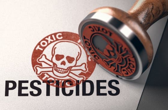 Pesticides Toxicity Damage Brains