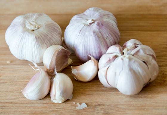 Fresh raw garlic bulbs are rich in health benefits.