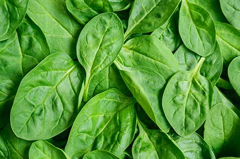 Top Five Health Benefits of Spinach
